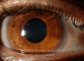 o01-ti12-131915-20100409-001