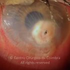 o01-ti12-2133488-20181107-002