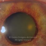 o01-ti12-2148012-20110523-001