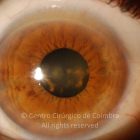 o01-ti12-2192338-20141015-001