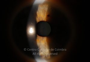 o01-ti12-4870-20100624-001