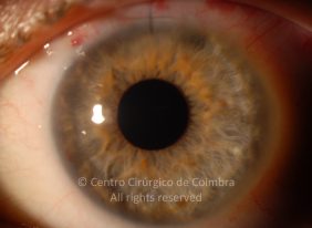o01-ti12-4870-20100922-001