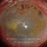 o01-ti12-8288-20141021-001
