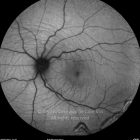o01-ti15-2143329-20110506-002
