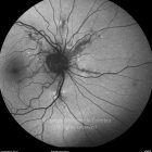 o01-ti15-2143913-20120112-002