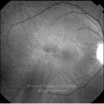 o02-ti01-16129-20060712-003