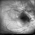 o02-ti01-2151183-20111116-001