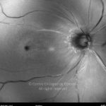 o02-ti01-2158247-20120208-029