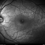 o02-ti01-2176527-20130820-003