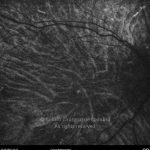 o02-ti02-108189-20101022-001