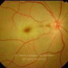o02-ti02-113011-20081114-002