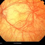 o02-ti02-12740-20090921-001