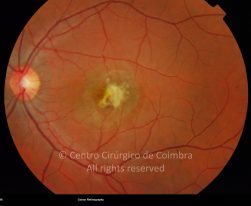 o02-ti02-13820-20100311-002