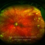 o02-ti02-16233-20140925-002