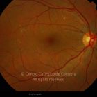 o02-ti02-2113-20110407-001