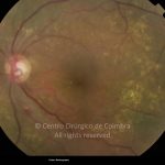 o02-ti02-2158864-20130327-003