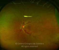 o02-ti02-2159438-20120404-999