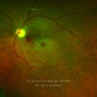 o02-ti02-2162333-20120605-999