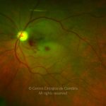 o02-ti02-2162333-20120605-999