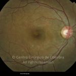 o02-ti02-2176954-20131029-002
