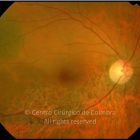 o02-ti02-23013-20080908-001
