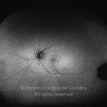o02-ti02-25880-20120417-997