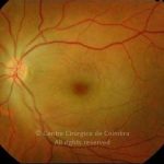 o02-ti02-28698-20080225-002