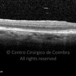 o02-ti03-128044-20101124-004