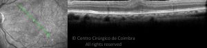 o02-ti03-2138662-20110503-007