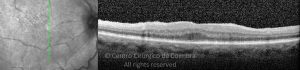 o02-ti03-2155822-20120131-004