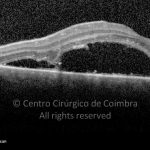 o02-ti03-2162875-20120622-011