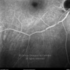 o02-ti07-126127-20091214-047