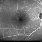 o02-ti07-128778-20100222-014