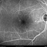 o02-ti07-128778-20100222-014