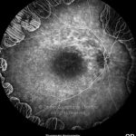 o02-ti07-2134111-20100531-023