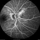 o02-ti07-2143913-20120112-019