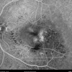 o02-ti07-2144600-20130401-026