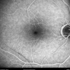 o02-ti07-2148736-20110901-011