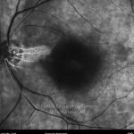 o02-ti07-2155988-20120113-008