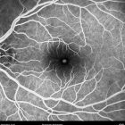 o02-ti07-2157274-20120130-018