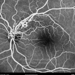 o02-ti07-3676-20110504-032