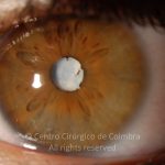 o02-ti12-119298-20090407-002