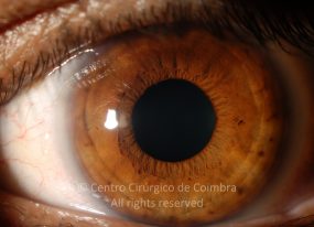 o02-ti12-131915-20100409-002