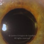 o02-ti12-2148012-20110609-002