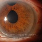 o02-ti12-2176299-20150728-001
