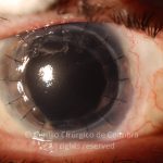 o02-ti12-2190731-20150909-002