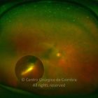 o02-ti12-2192338-20141015-007