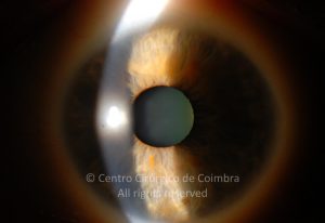 o02-ti12-4870-20100624-002