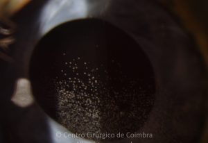 o02-ti12-4870-20190515-001