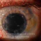 o02-ti12-8288-20150716-003